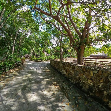 The Mayan Garden Orange Walk Town Ngoại thất bức ảnh